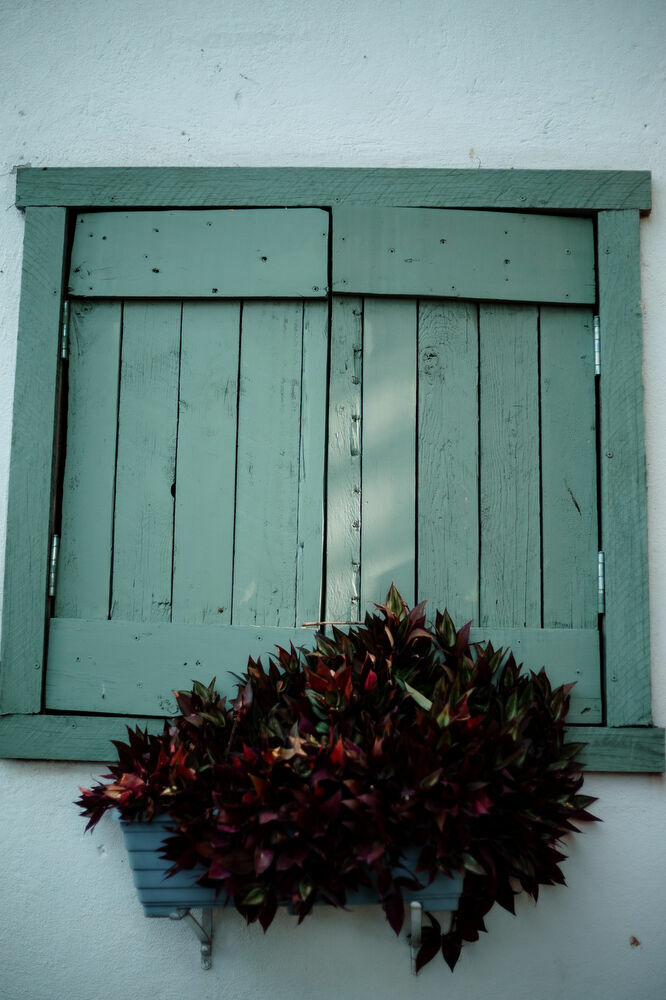 Foto O HorÃƒÂ¡rio Perfeito para um Casamento ao PÃƒÂ´r do Sol - Imagem 68
